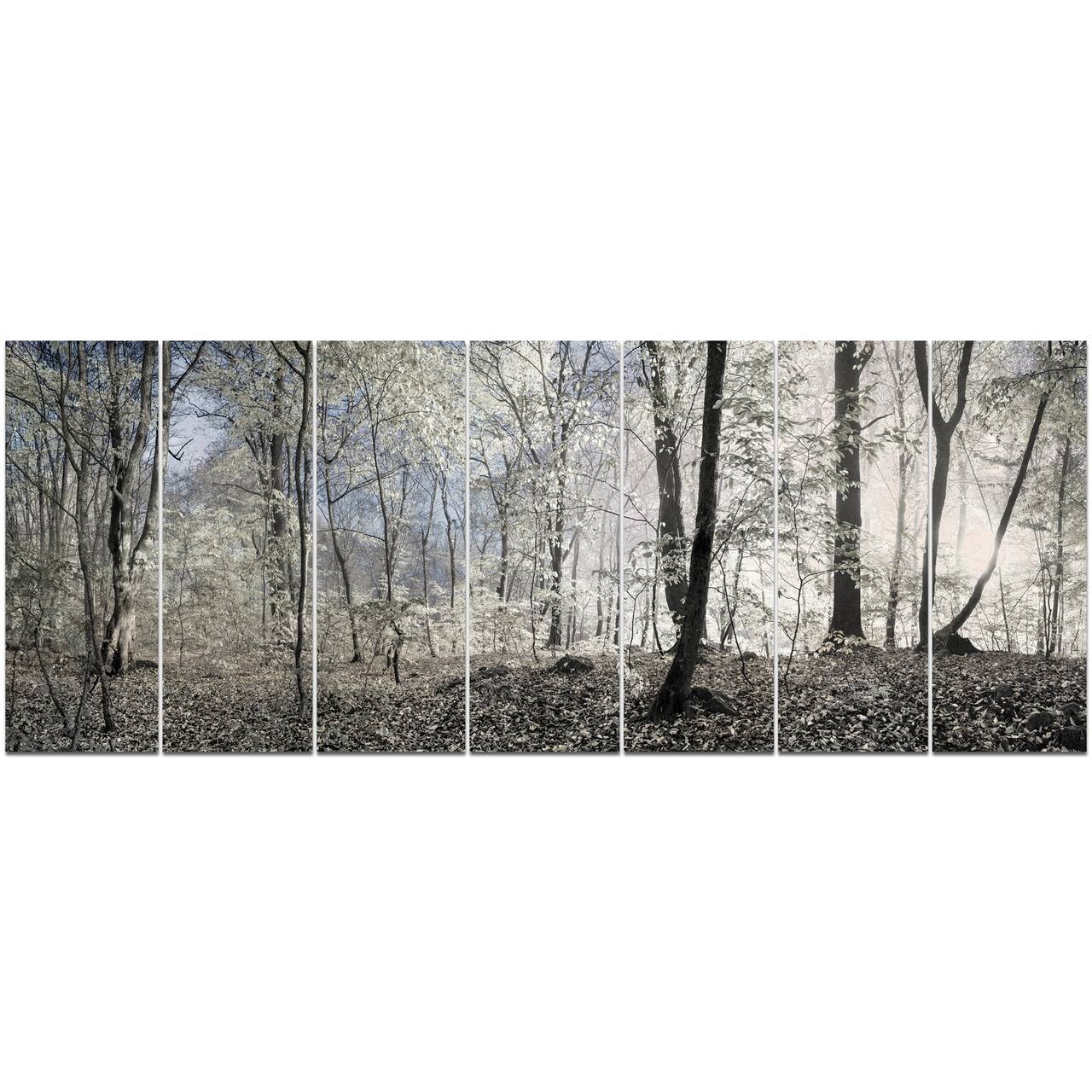 Designart - Dark Morning in Forest Panorama - Landscape Canvas Art Print